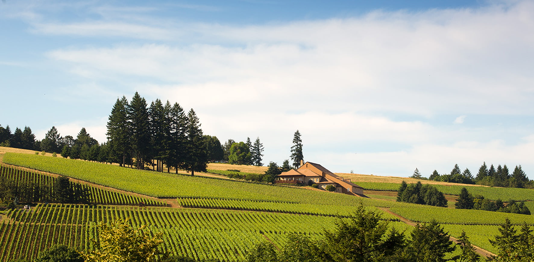 Domaine drouhin oregon