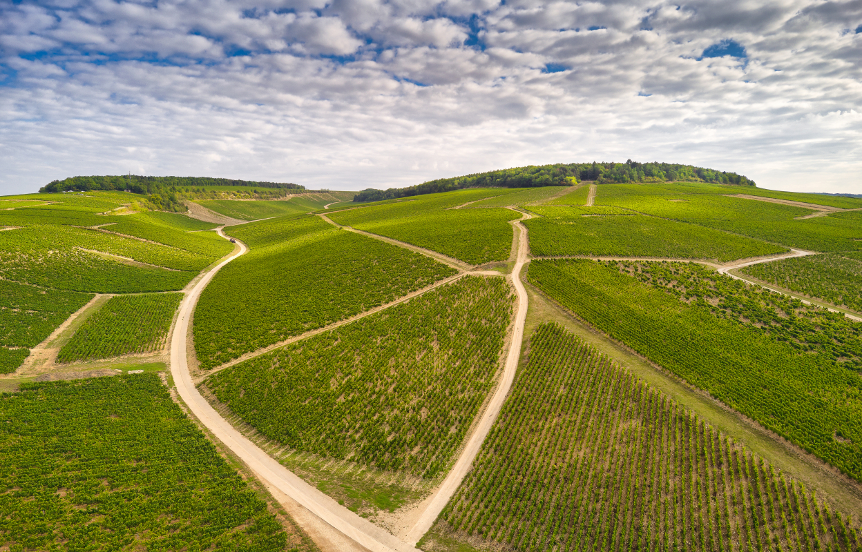 A Heritage and Philosophy Inherited for 4 Generations