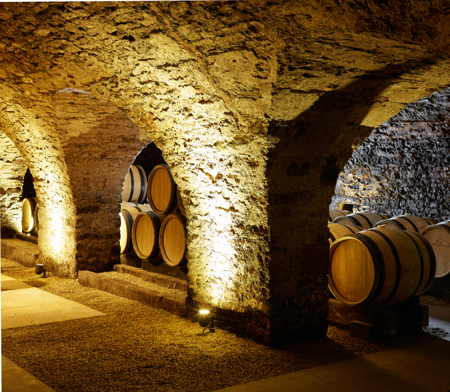 The Drouhin protect this unique heritage