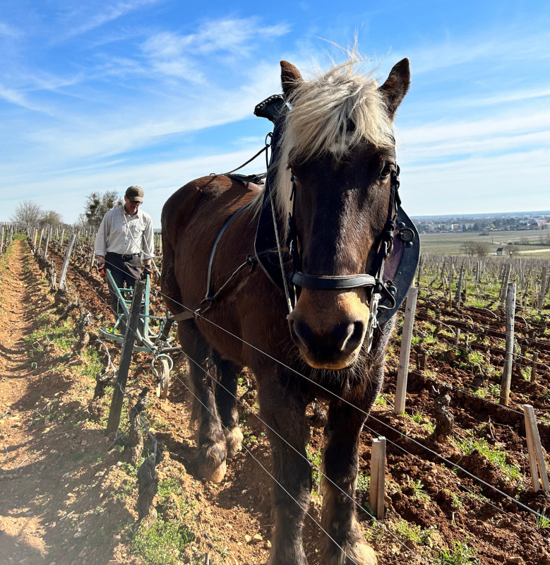 Listening and Respecting Nature
