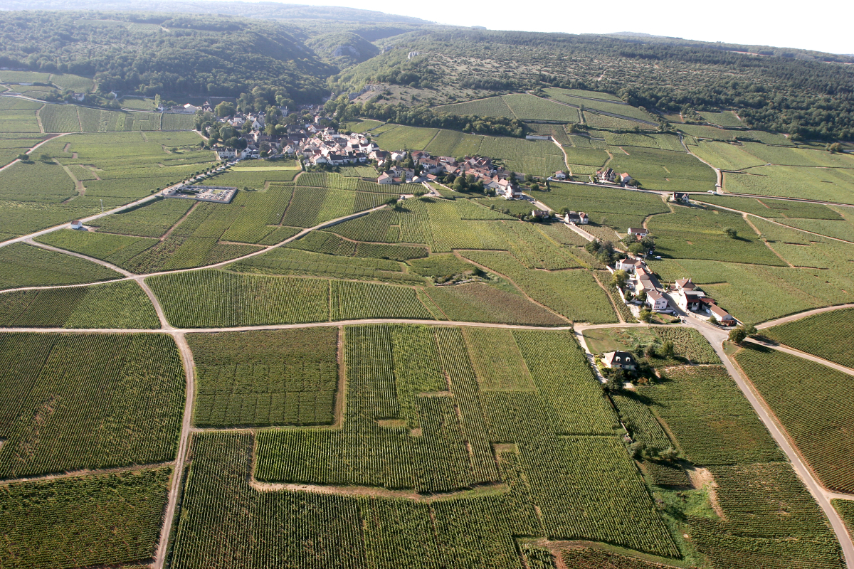 A scenic outing through the vineyards of the Côte de Nuits