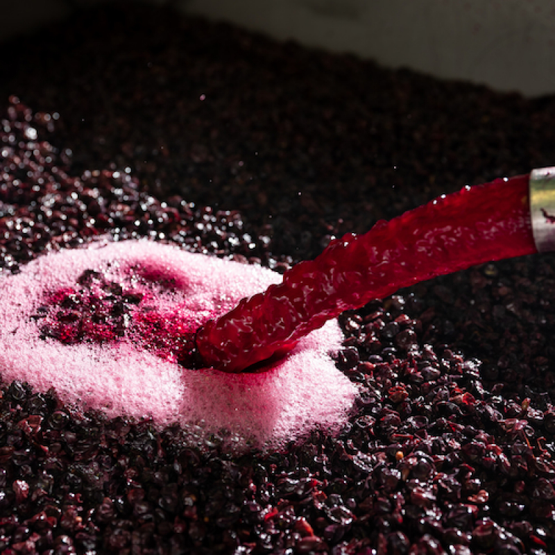 Naturally Revealing Our Treasures